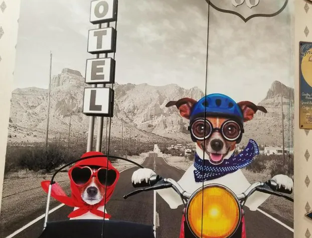 Route 66 Hotel, Springfield, Illinois hotel detail image 2