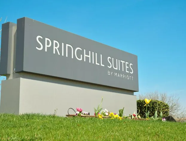 SpringHill Suites Dallas Lewisville hotel detail image 4