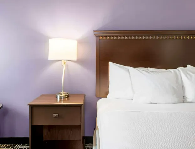 La Quinta Inn & Suites by Wyndham Dumas hotel detail image 4