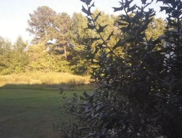 The Teacherage hotel detail image 4