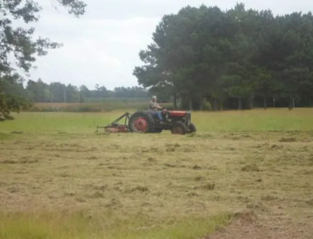 The Teacherage hotel detail image 4