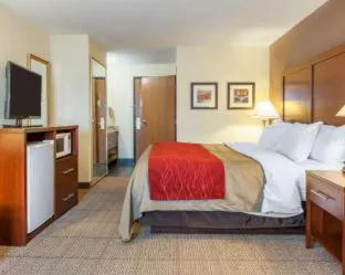 Comfort Inn Warren I-69 hotel detail image 4