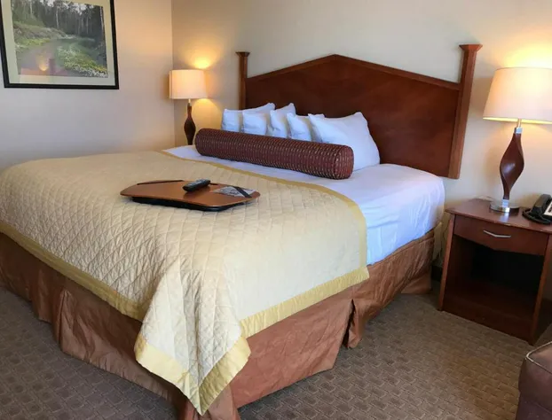 Norfolk Country Inn & Suites hotel detail image 4