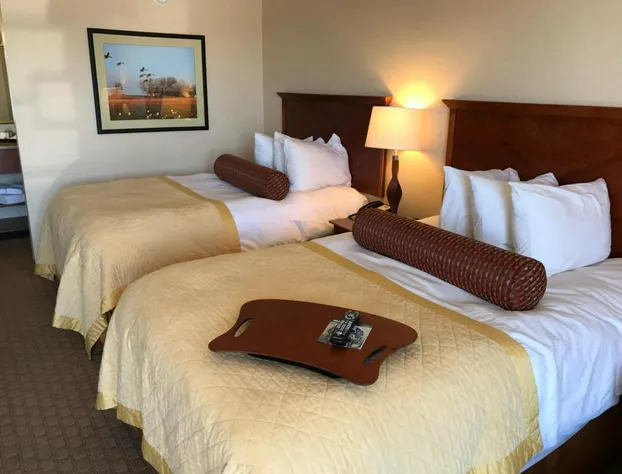 Norfolk Country Inn & Suites hotel detail image 3