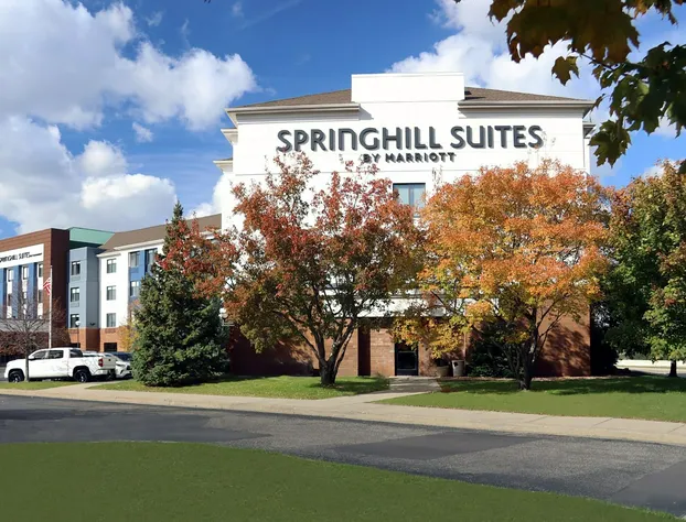 Springhill Suites Minneapolis St Louis Park by Marriott hotel detail image 2