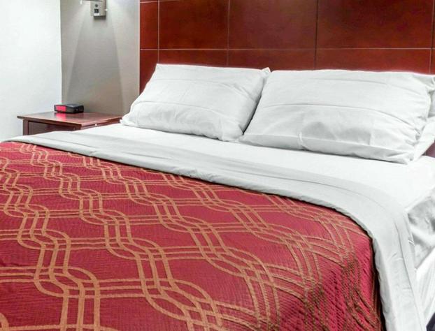 Econo Lodge South Ozone Park hotel detail image 1