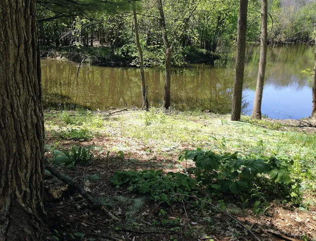 Montcler Hotel & Conference Center, Trademark by Wyndham hotel detail image 3