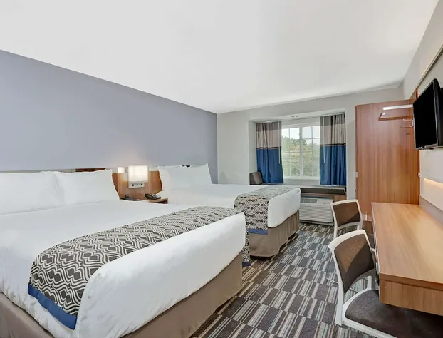 Microtel Inn & Suites By Wyndham Philadelphia Airport Ridley hotel detail image 4