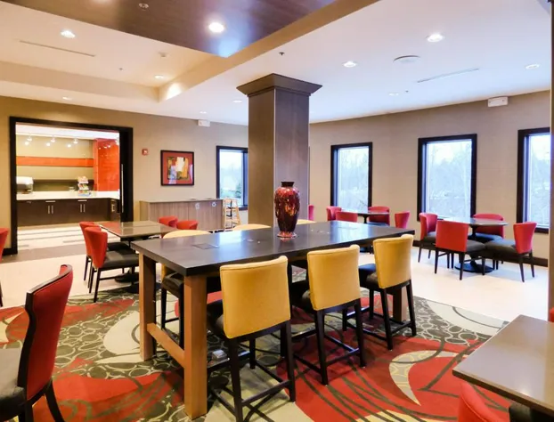 Holiday Inn Express & Suites Plymouth - Ann Arbor Area by IHG hotel detail image 2