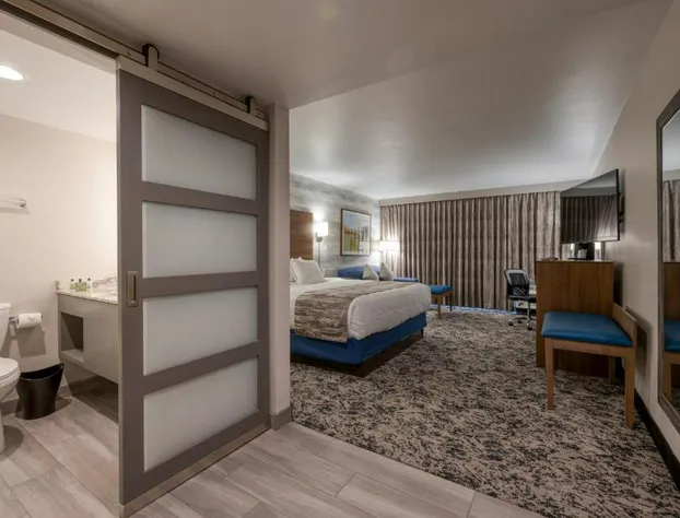 MCM Elegante Hotel and Conference Center Odessa hotel detail image 4