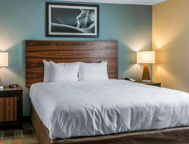 MainStay Suites Cotulla hotel detail image 4