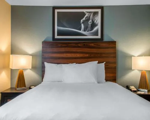 MainStay Suites Cotulla hotel detail image 3