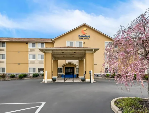 Comfort Inn & Suites Fairborn near Wright Patterson AFB hotel detail image 1