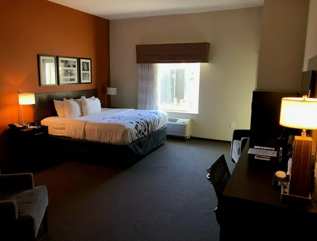 Sleep Inn Cartersville - Emerson Lake Point hotel detail image 1