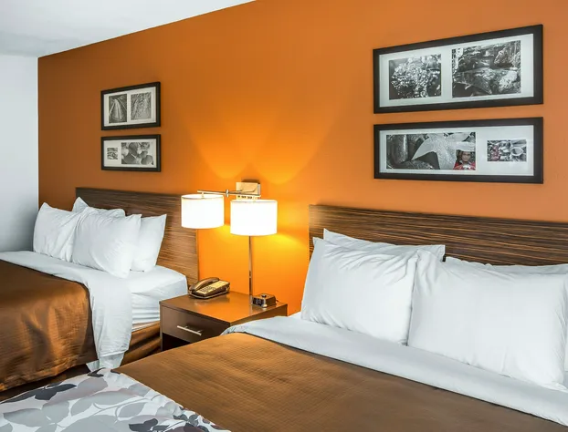 Sleep Inn Cartersville - Emerson Lake Point hotel detail image 2