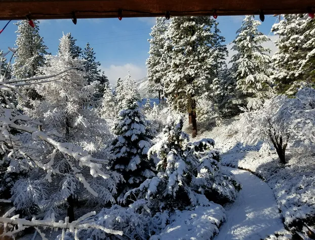 Fox Den Bed & Breakfast hotel detail image 3