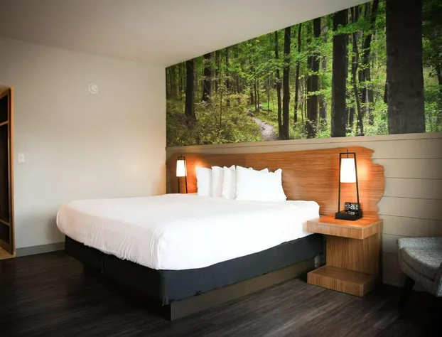 The Inn At Tree City, BW Signature Collection hotel detail image 4