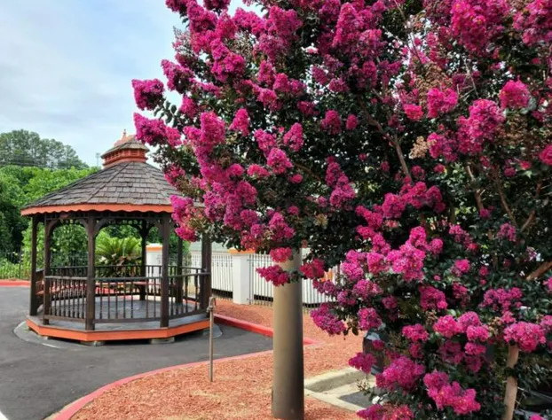 Days Inn by Wyndham Clemson hotel detail image 4