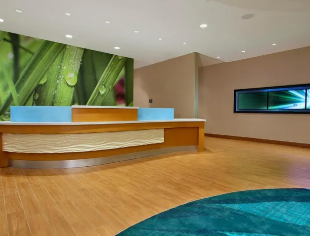 SpringHill Suites by Marriott Houston I-10 West/Energy Corridor hotel detail image 3