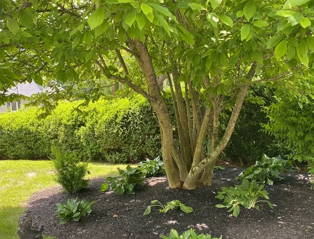 Hillcrest Mansion Inn hotel detail image 1