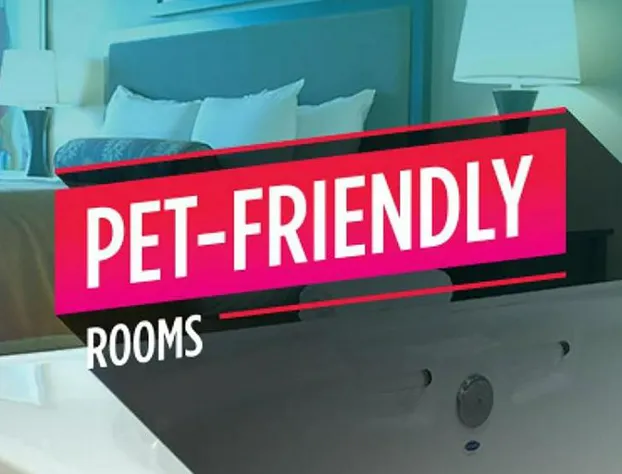 Isle of Capri Casino Hotel Boonville - A Caesars Rewards Destination hotel detail image 4