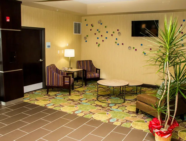 Holiday Inn Express & Suites Sikeston Southwest by IHG hotel detail image 1