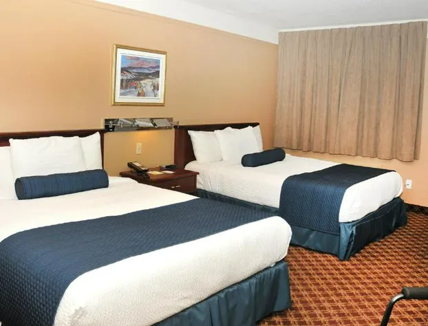 Hotel Le Mirage Blainville hotel detail image 4