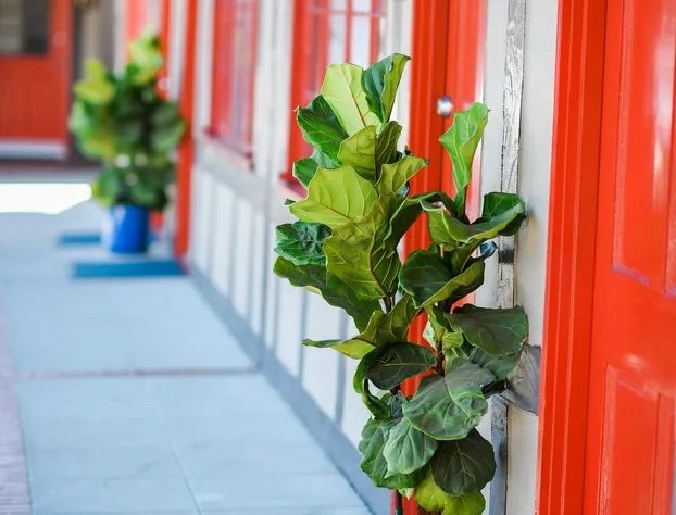 Hamlet Inn hotel detail image 4