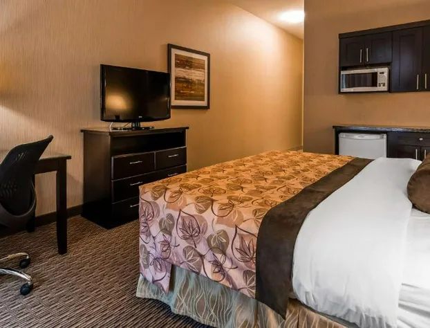 Best Western Estevan Inn & Suites hotel detail image 2