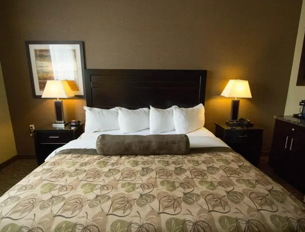 Best Western Estevan Inn & Suites hotel detail image 4