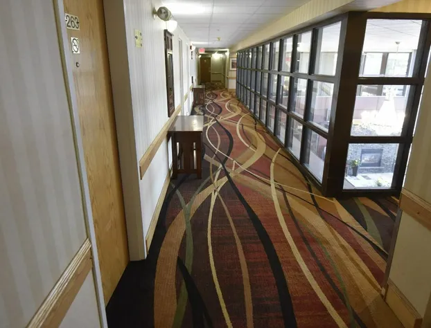 Tropical Inn hotel detail image 2