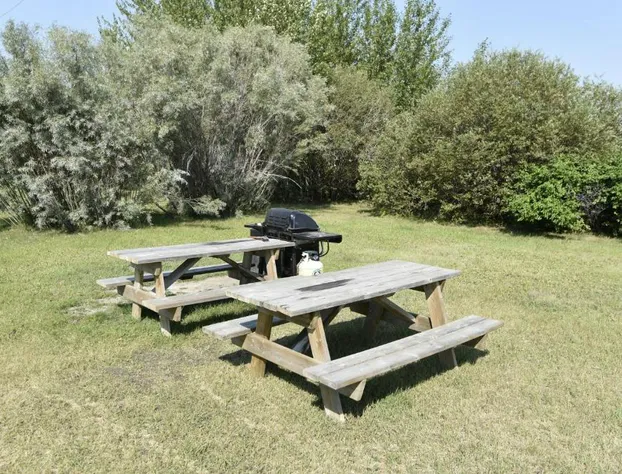 Tropical Inn hotel detail image 1