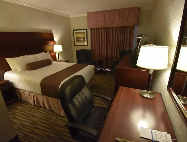 Tropical Inn hotel detail image 3