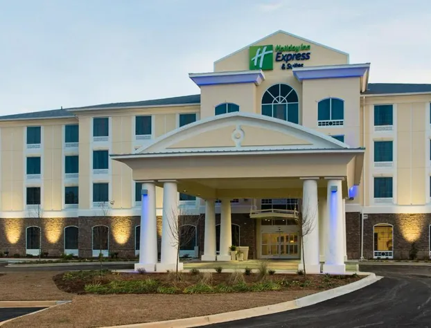 Holiday Inn Express & Suites Aiken by IHG hotel detail image 2