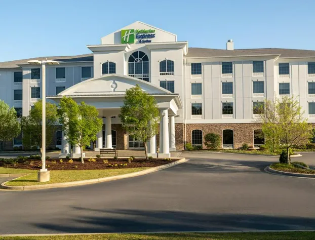 Holiday Inn Express & Suites Aiken by IHG hotel detail image 1