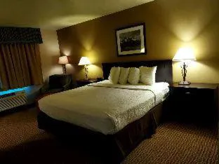 Best Western Pinedale Inn hotel detail image 3