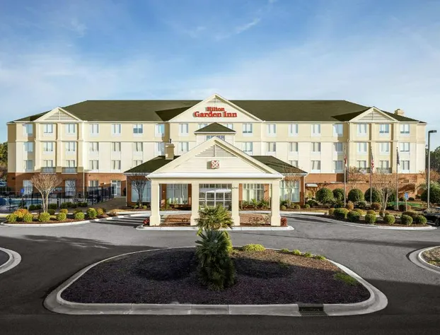 Hilton Garden Inn Wilmington Mayfaire Town Center hotel detail image 1