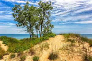 Staybridge Suites Schererville by IHG hotel detail image 2