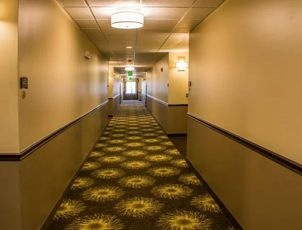 Staybridge Suites Schererville by IHG hotel detail image 4