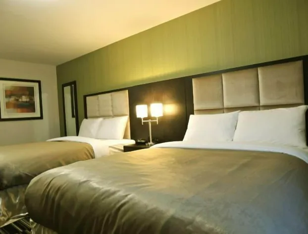 Western Star All Suites Melita hotel detail image 2