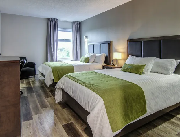 Hôtel du Jardin hotel detail image 4