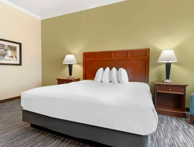 Best Western Hebbronville Inn hotel detail image 4