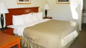 Magnuson Hotel Park Vue hotel detail image 2