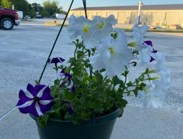 Burr Oak Motel hotel detail image 4