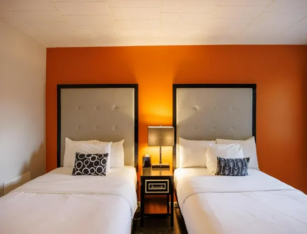 Hotel Royal Oak hotel detail image 3