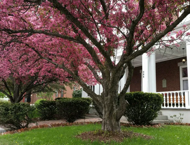 Inn at the Agora hotel detail image 3