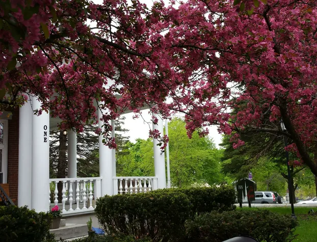 Inn at the Agora hotel detail image 4