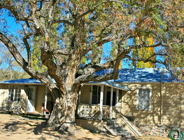 Old Pioneer Garden Country Inn hotel detail image 2