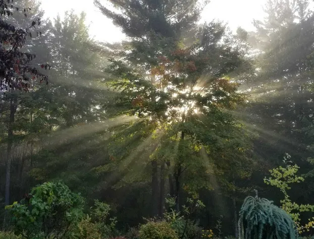 Friends Lake Inn hotel detail image 3