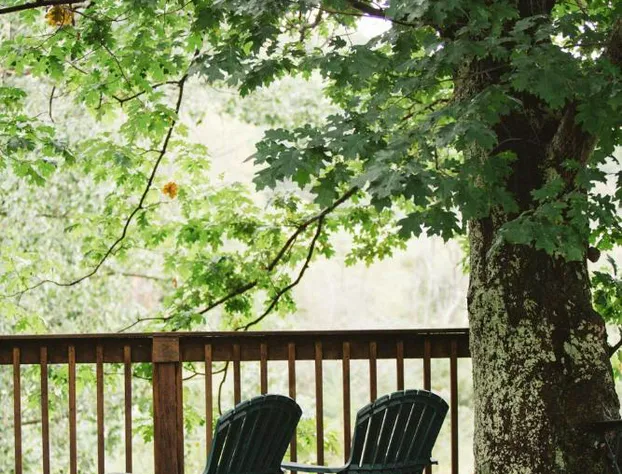 Albergo Allegria Hotel hotel detail image 4